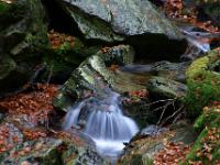 Rißbachkaskade, Felsen und nasses Laub